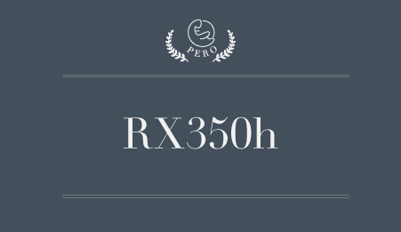 Read more about the article Lexus RX350 Installed Car Seats