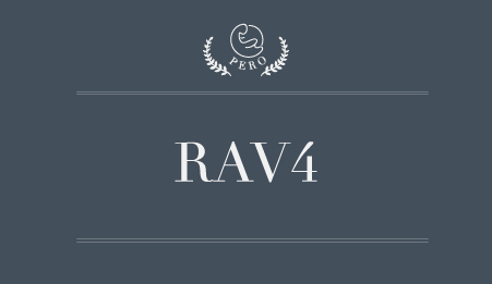 Read more about the article Toyota Rav4 Installed Car Seats