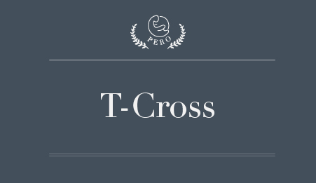 Read more about the article Volkswagen T-cross Installed Car Seats